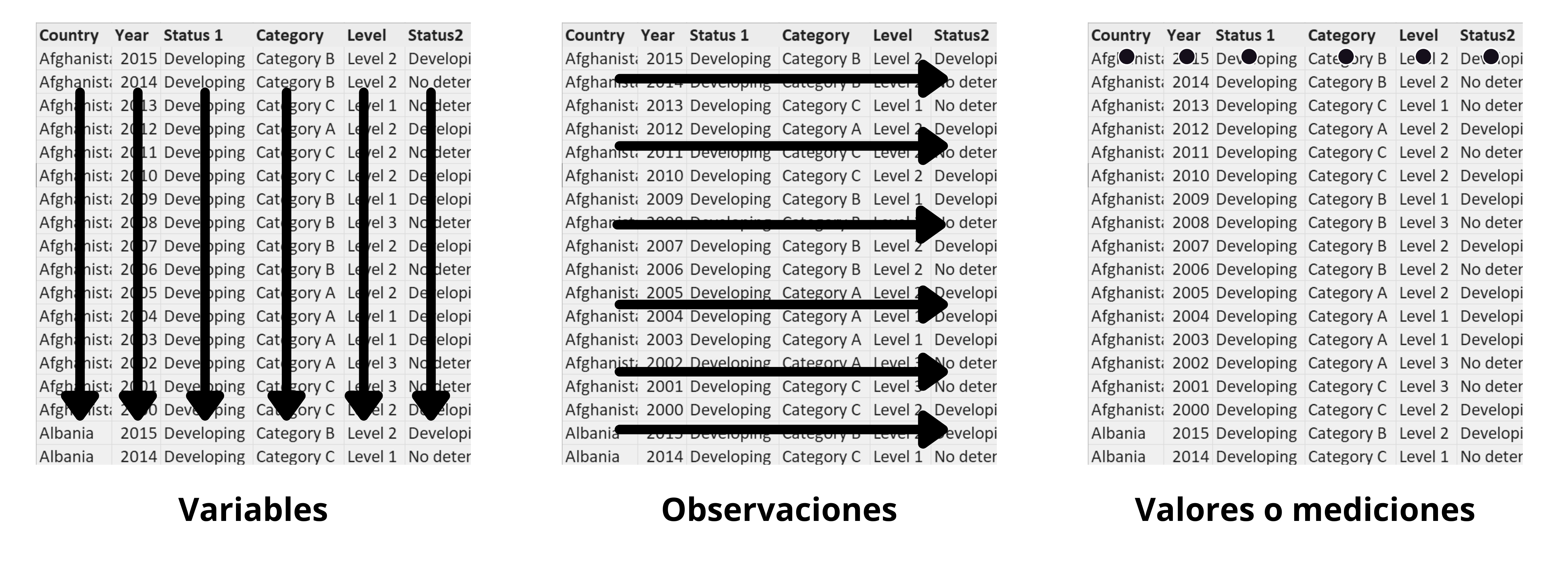 Datos ordenados correctamente para analizar en R